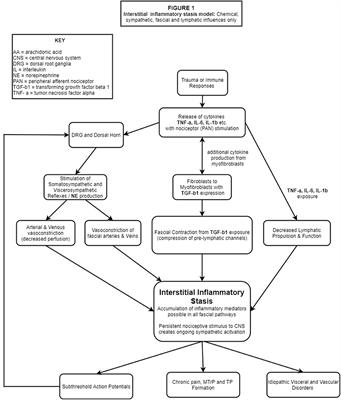 Impaired Lymphatic Drainage and Interstitial Inflammatory Stasis in Chronic Musculoskeletal and Idiopathic Pain Syndromes: Exploring a Novel Mechanism